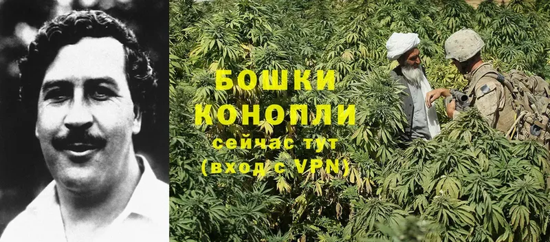 Каннабис White Widow  где можно купить наркотик  Костерёво 